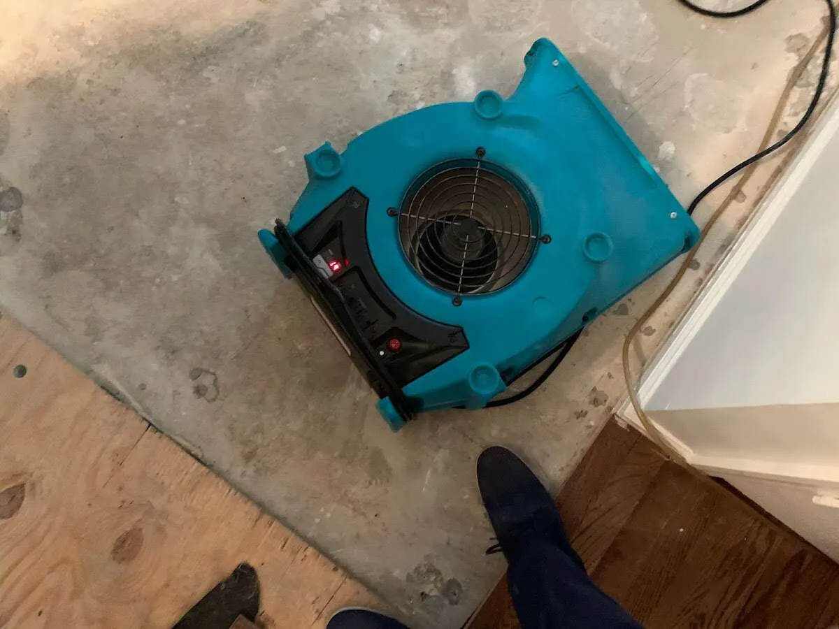 Air mover drying subfloor during Commercial Water Damage Restoration in Lacey
